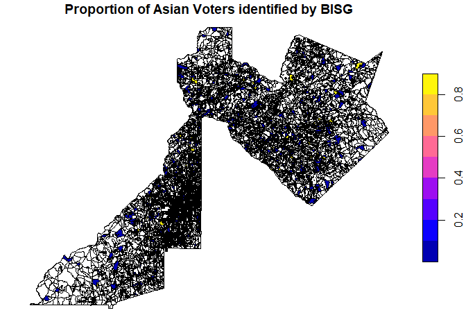 BISG Asian Voters