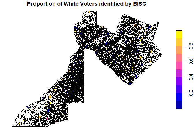 BISG White Voters