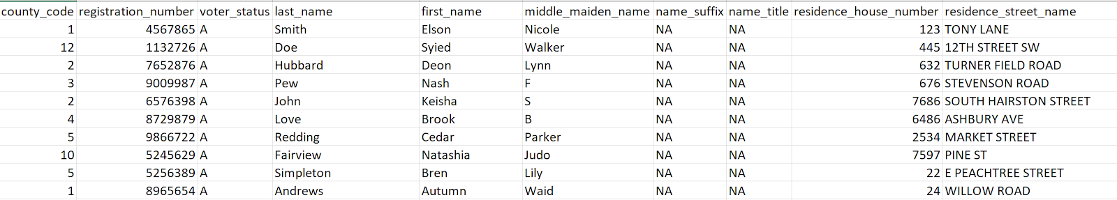 Figure 3: An example of a voter file with voter registration numbers/ids, voter status, and other demographic information.